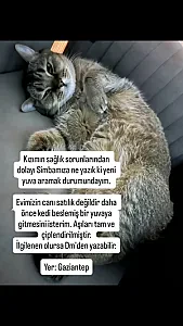 Simba