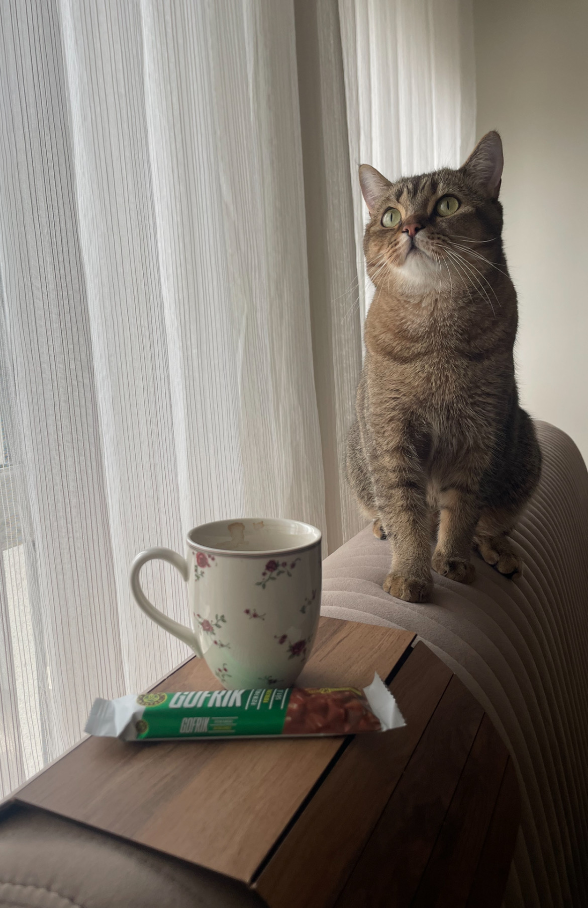 Simba — Foto 2