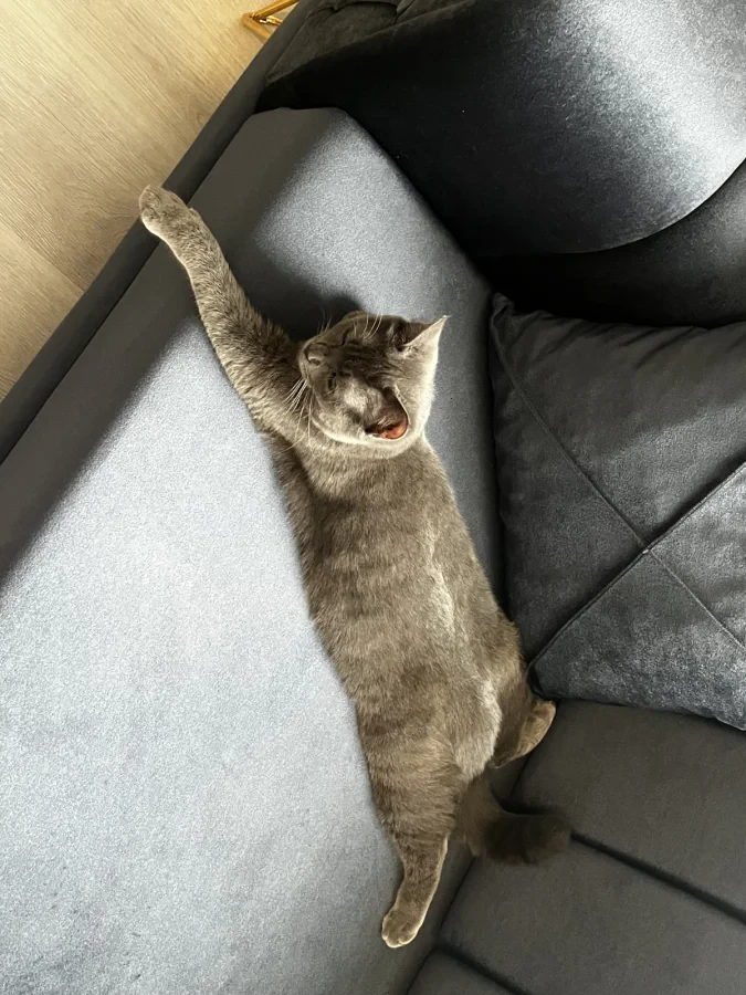 karam — Foto 4