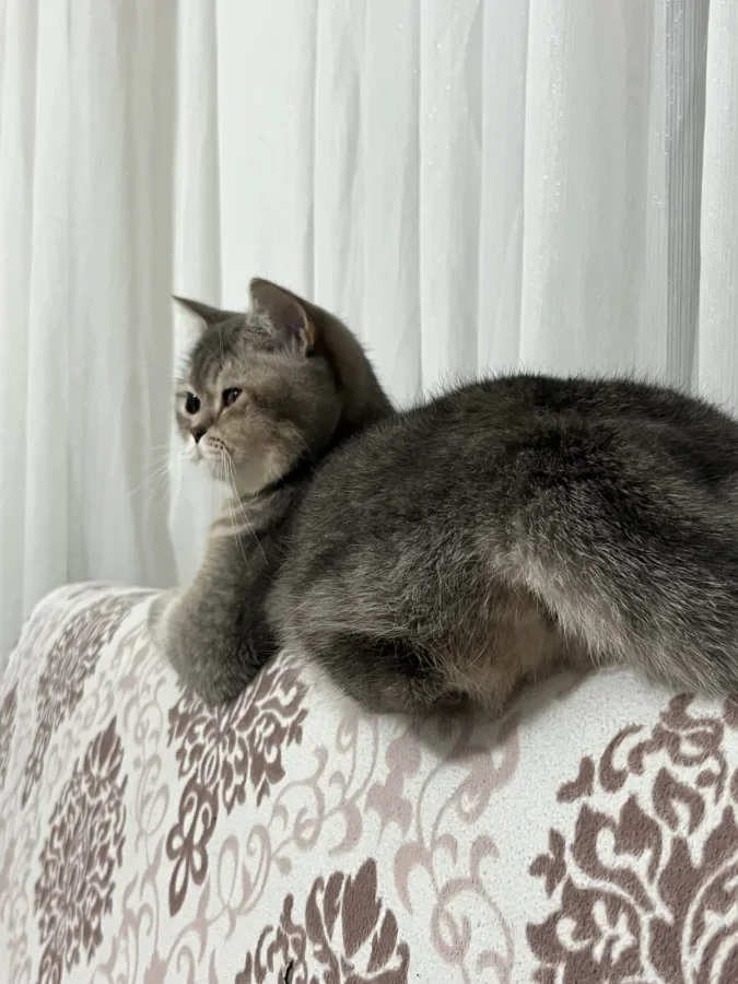 maya — Foto 5
