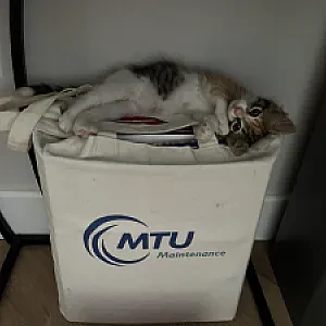 Foto 3