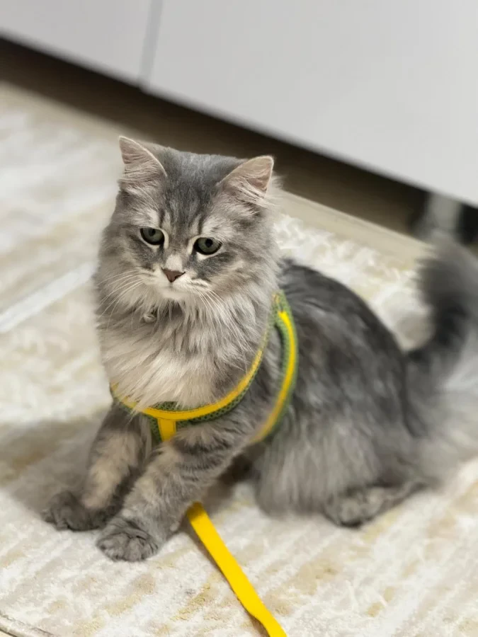 Mia — Foto 3