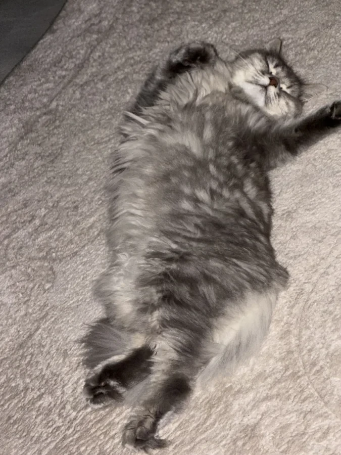 Mia — Foto 4