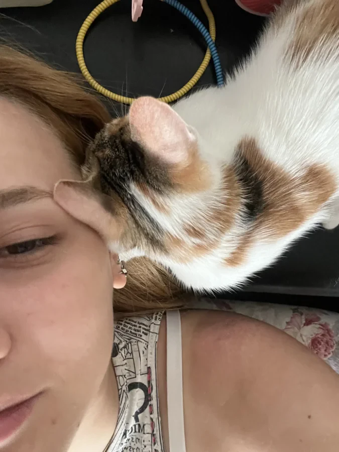 Calico — Foto 4