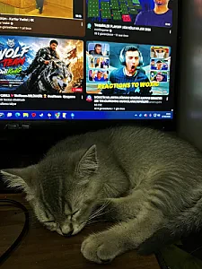 Foto 2