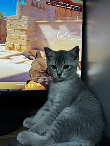 Foto 5