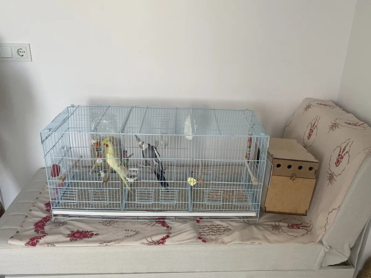 GÜNEŞ VE BULUT — Foto 1