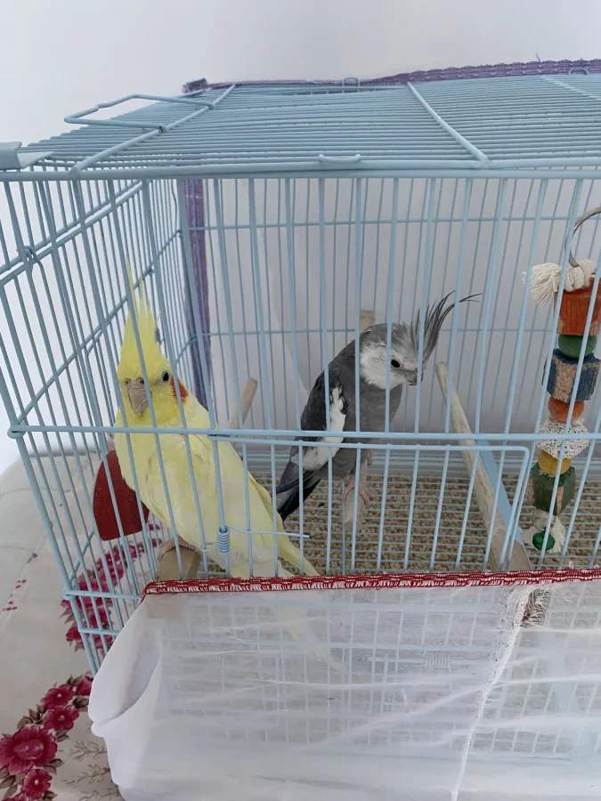 GÜNEŞ VE BULUT — Foto 3