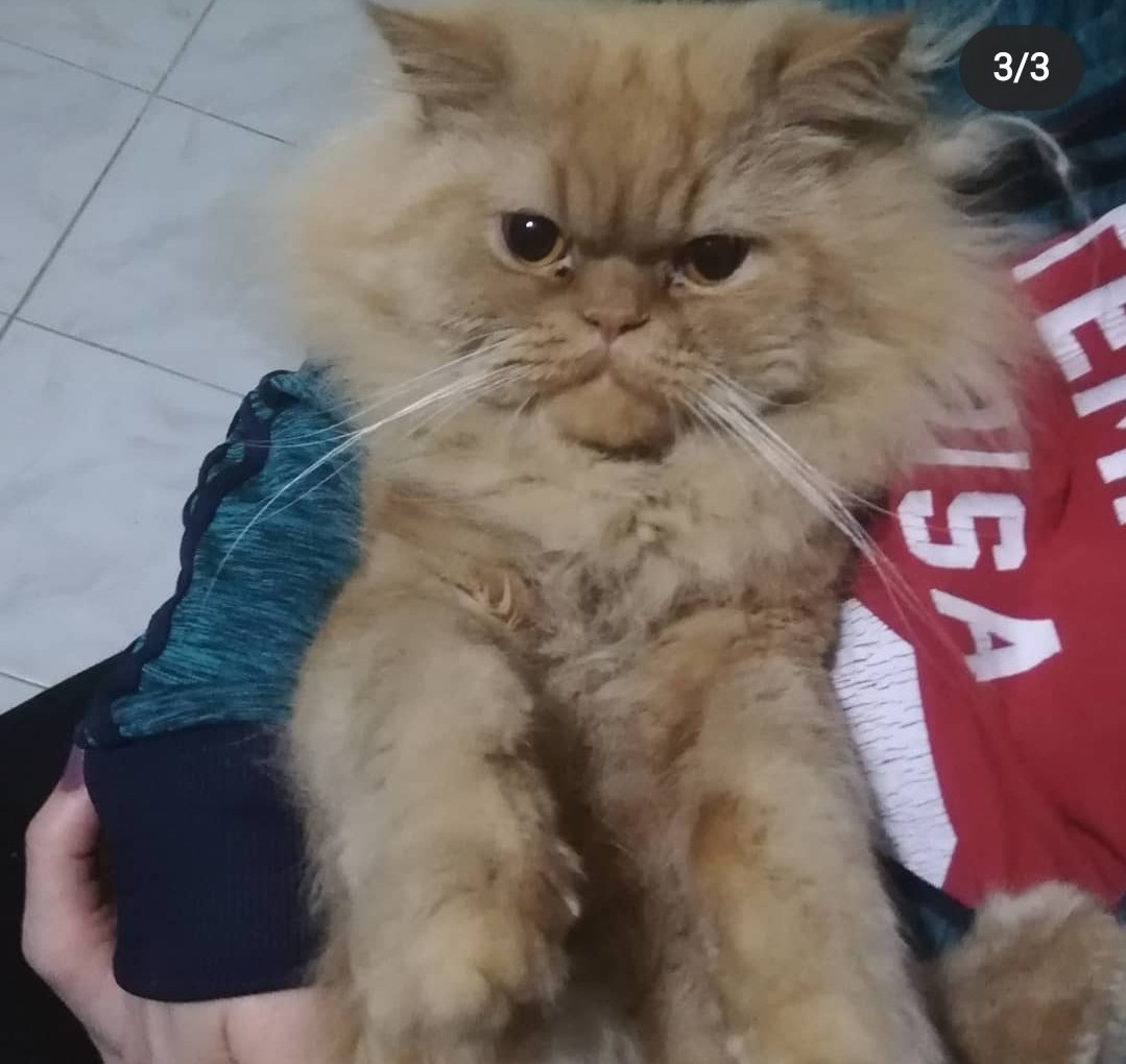 BAL OĞLUMUZA YUVA ARIYORUZ