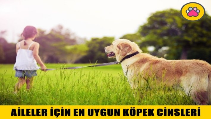 Aileler İçin En Uygun Köpek Cinsleri Hangileridir?