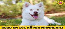 En İyi Köpek Mamaları Nelerdir?