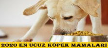 En Ucuz Köpek Mamaları Nelerdir?