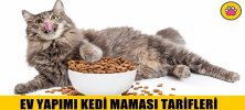 Evde Kedi Maması Nasıl Yapılır?