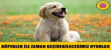 Köpeğiniz İle Muhteşem Zaman Geçirebileceğiniz Oyunlar