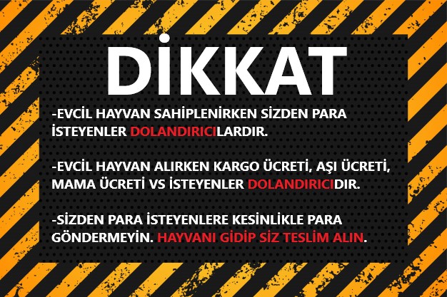 Dolandırıcılara dikkat edin